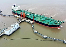 Bloomberg tiết lộ nguồn thay thế khi Trung Quốc cắt giảm 90% lượng mua dầu thô của Mỹ