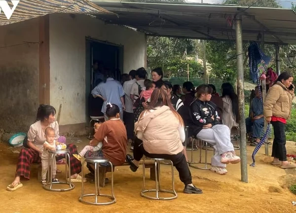 Một phụ nữ ở Lai Châu tử vong nghi ngộ độc do ăn nấm dại