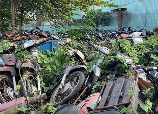 Cho bán ngay tang vật nếu không có nơi bảo quản?