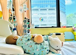 Động thái đáng chú ý của Thu Hòa sau khi bé Bắp qua đời