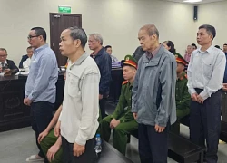 Cựu Tổng Giám đốc Vinatea đi tù vì sai phạm trong quản lý 'đất vàng'