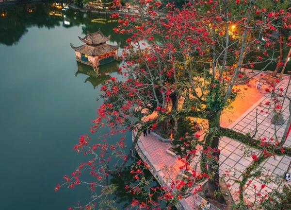 Mùa hoa gạo Bắc Bộ qua ống kính của các thành viên Check in Vietnam
