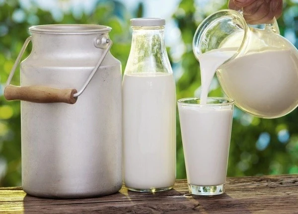 Uống sữa kiểu này cực tốt cho sức khỏe nhưng không phải ai cũng biết