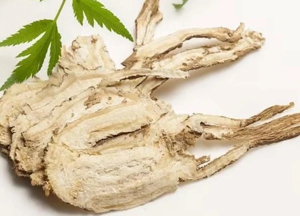 Bài thuốc chữa mụn trứng cá từ cây kim ngân