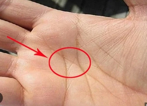 Ai có đường chỉ tay này: Không sớm thì muộn cũng thành công vang dội, phú quý đầy nhà