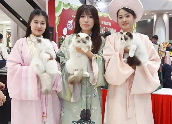 Hội cô, cậu chủ mặc Việt phục, trang điểm từ 12h đêm để sáng sớm để đưa "hoàng thượng... hồi cung"