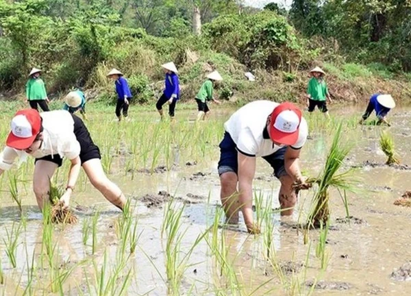 Tuyên Quang ra mắt sản phẩm du lịch 'Chiến khu xưa-trải nghiệm mới'