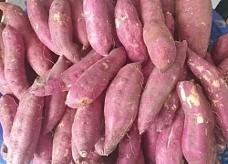 9 loại rau giàu tinh bột tốt cho sức khỏe toàn diện