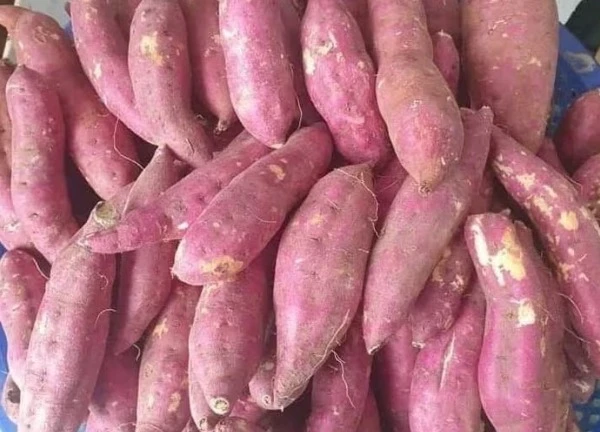 9 loại rau giàu tinh bột tốt cho sức khỏe toàn diện