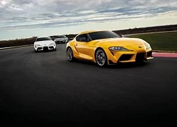 Bảng giá ô tô Toyota mới nhất tháng 5/2025