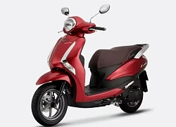 Bảng giá xe Latte mới nhất tháng 5/2025