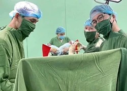 Cặp song sinh chào đời ngày 30/4, được đặt tên Thống Nhất và Hòa Bình