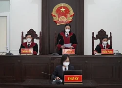 Cú lật kèo của người cha khiến con trai phẫn uất muốn 'sống chết' tại tòa