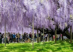 Hoãn đàm phán hạt nhân Mỹ - Iran - Tổng thống D. Trump đưa ra thông điệp cứng rắn