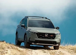 Honda CR-V 2026 có phiên bản off-road nhẹ