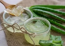 Loại cây được ví như 'thần dược' cho sức khỏe, người Việt lại chỉ trồng làm cảnh