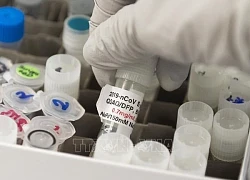 Mỹ triển khai nền tảng vaccine thế hệ mới ứng phó virus có nguy cơ gây đại dịch