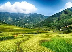 Những địa điểm 'hút' khách du lịch dịp nghỉ lễ 30/4 ở Yên Bái