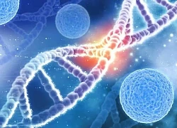 Thách thức với các cha mẹ 'săn con' khi mắc bệnh lý đơn gene