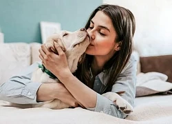 Thú cưng giúp ích gì cho bệnh nhân ung thư?