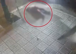 Truy xét hành tung hai nhóm thanh niên ném đá hỗn chiến trong đêm