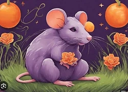 Tử vi 12 con giáp ngày 1/5: Tỵ nguy cơ rỗng túi, Dần tranh cãi với nửa kia