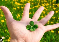 Tử vi 12 cung hoàng đạo ngày 3/5/2025: thấu hiểu để tránh gây tổn thương