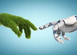 Vì sao một câu cảm ơn của bạn với ChatGPT cũng tiêu tốn cả chục triệu USD và tác động của nó đến môi trường khủng khiếp thế nào?