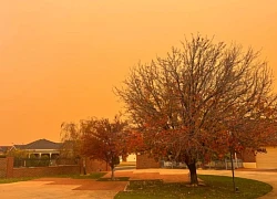 Bão bụi, lũ lụt tàn phá nhiều khu vực của Australia