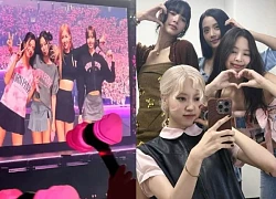 BLACKPINK công bố world tour 'nóng nhất', fan Việt lâm cảnh 'khổ nhất lúc này'?
