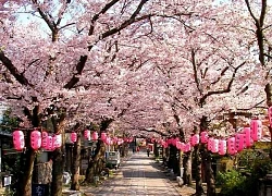 Chính phủ Nhật Bản lo ngại xu hướng sụt giảm nhu cầu du lịch nội địa