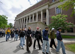 Chính quyền Mỹ sẽ cắt toàn bộ tài trợ cho Harvard