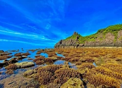 Côn Đảo sẵn sàng với những khám phá và trải nghiệm mới trước mùa du lịch
