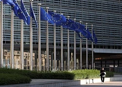EU và 6 nước thành viên phê chuẩn Hiệp định về Biển cả