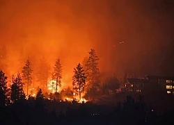 Hàng nghìn người phải sơ tán tại miền Tây Canada do cháy rừng
