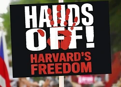 Harvard thắng vòng đầu trong cuộc chiến pháp lý bảo vệ sinh viên quốc tế