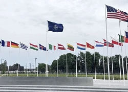Hội nghị NATO 2025: Châu Âu đối mặt tối hậu thư từ Mỹ