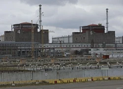 IAEA: Không có dấu hiệu Nga chuẩn bị tái khởi động nhà máy hạt nhân Zaporizhzhia