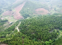 Lạc bước ở 'ốc đảo' mắc ca