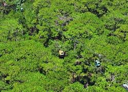 Những điều thú vị của du lịch Đà Lạt trong tháng 6