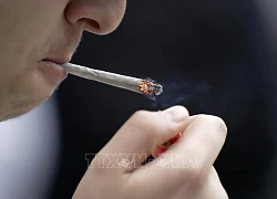 Pháp cấm hút thuốc tại bãi biển, công viên và trạm xe buýt từ 1/7
