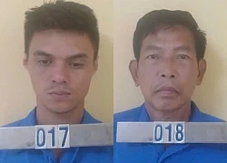 Phát dọn cây cỏ rồi tấn công nhân viên bảo vệ rừng