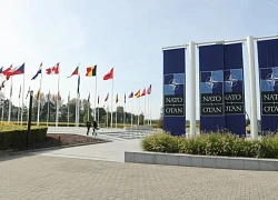 Quan chức Ukraine chia sẻ cảm giác bị 'lạnh nhạt' tại Hội đồng Nghị viện NATO
