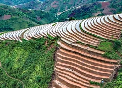Ruộng bậc thang nơi vùng cao Xím Vàng
