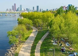 Seoul mùa xanh lá