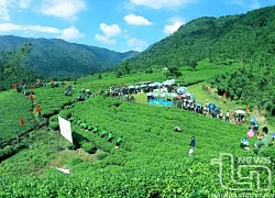 Thái Nguyên: Mùa du lịch 'thức giấc'