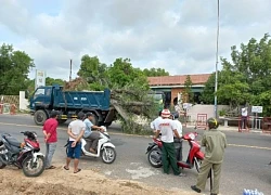Tình trạng lấn chiếm đất đai ở Bình Thuận vẫn diễn biến phức tạp