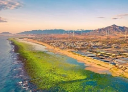 Trục vớt tàu đắm 'sống ảo' ở Ninh Thuận