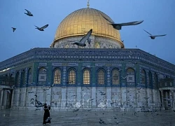 UAE triệu Đại sứ Israel, phản đối các động thái gây căng thẳng tại khu đền Al-Aqsa