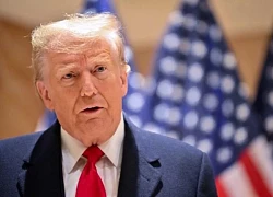 Mỹ bắt đối tượng nhập cư dọa nổ súng vào Tổng thống Donald Trump